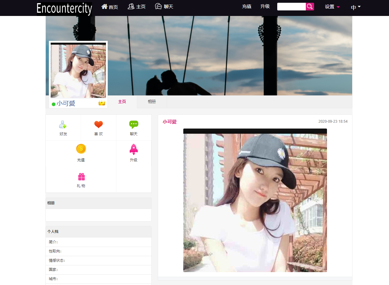 全球最专业的国际交友恋爱网站大型国际交友网交友网站12国语言  9601无名网络